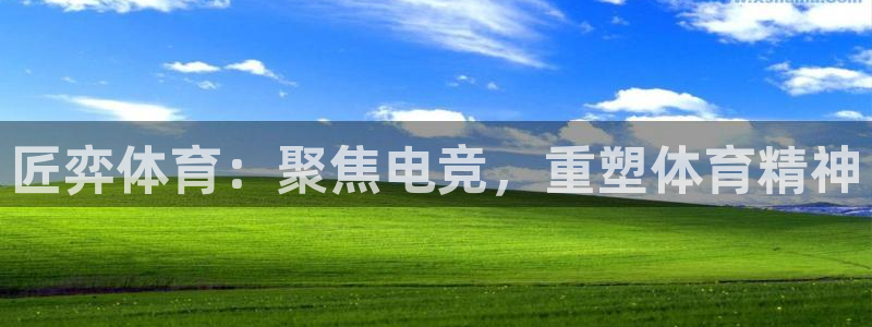 匠弈体育：聚焦电竞，重塑体育精神
