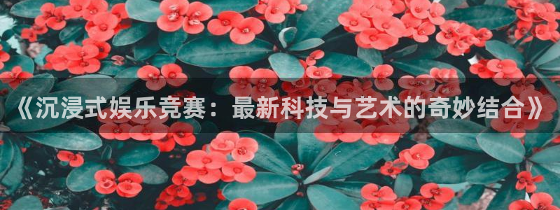《沉浸式娱乐竞赛：最新科技与艺术的奇妙结合》