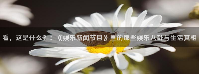 看，这是什么？：《娱乐新闻节目》里的那些娱乐八卦与生活真相