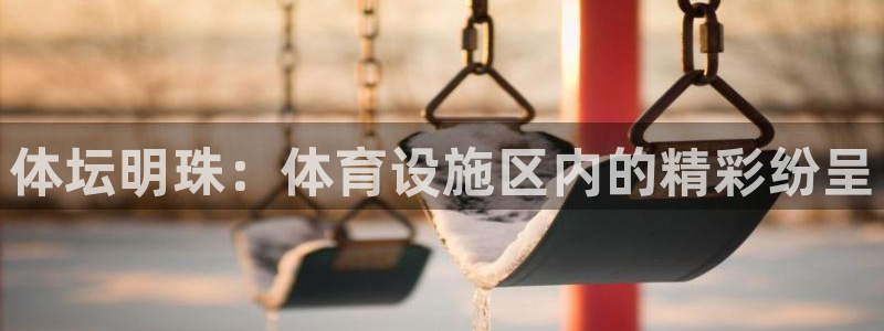 体坛明珠：体育设施区内的精彩纷呈