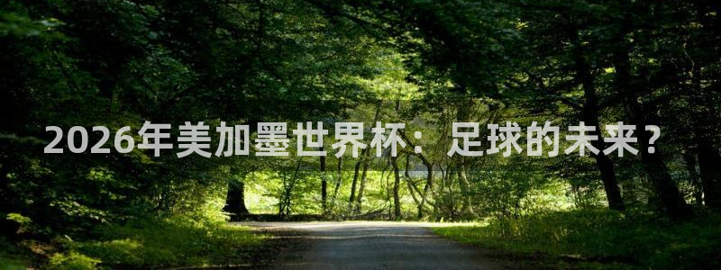 2026年美加墨世界杯：足球的未来？