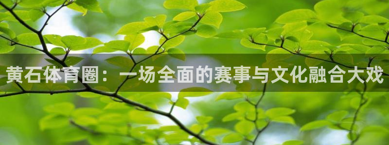 黄石体育圈：一场全面的赛事与文化融合大戏