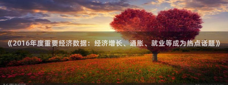 《2016年度重要经济数据：经济增长、通胀、就业等成为热点话题》