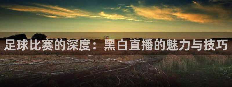足球比赛的深度：黑白直播的魅力与技巧