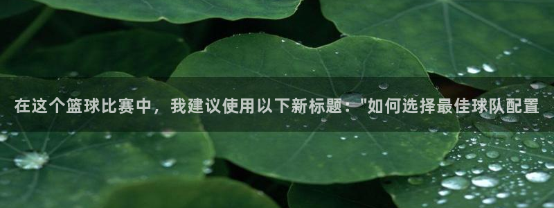 在这个篮球比赛中，我建议使用以下新标题：\