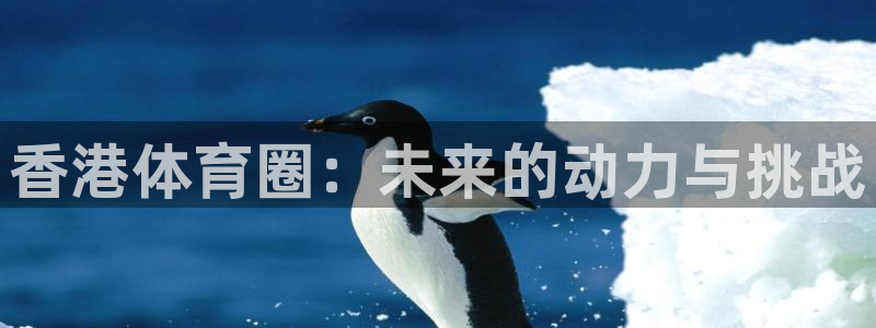 香港体育圈：未来的动力与挑战