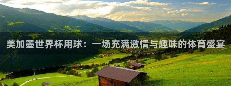 美加墨世界杯用球：一场充满激情与趣味的体育盛宴