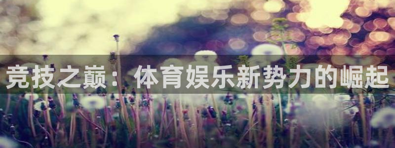 竞技之巅：体育娱乐新势力的崛起
