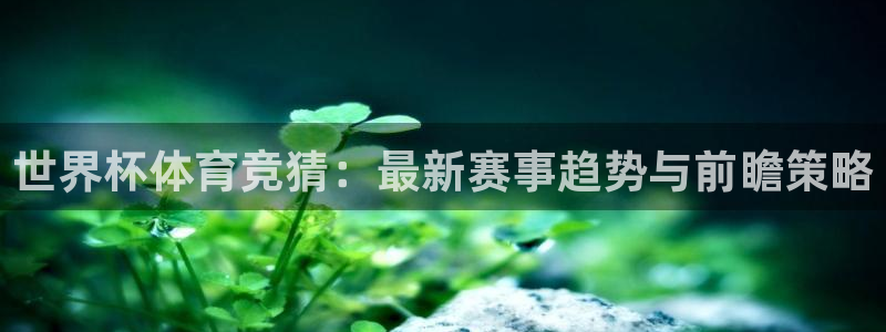 世界杯体育竞猜：最新赛事趋势与前瞻策略