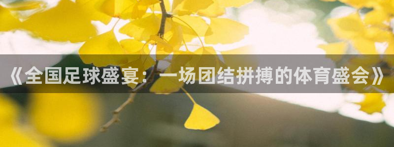 《全国足球盛宴：一场团结拼搏的体育盛会》