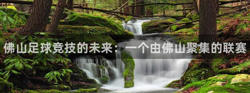 佛山足球竞技的未来：一个由佛山聚集的联赛