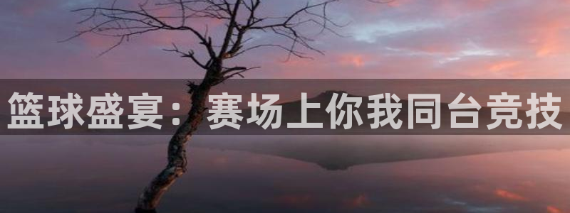 篮球盛宴：赛场上你我同台竞技