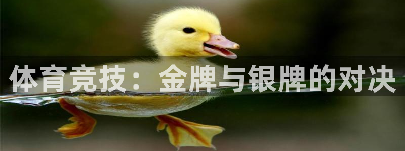 体育竞技：金牌与银牌的对决