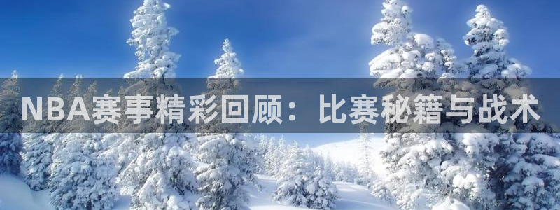 NBA赛事精彩回顾：比赛秘籍与战术