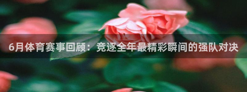 6月体育赛事回顾：竞逐全年最精彩瞬间的强队对决