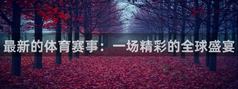最新的体育赛事：一场精彩的全球盛宴