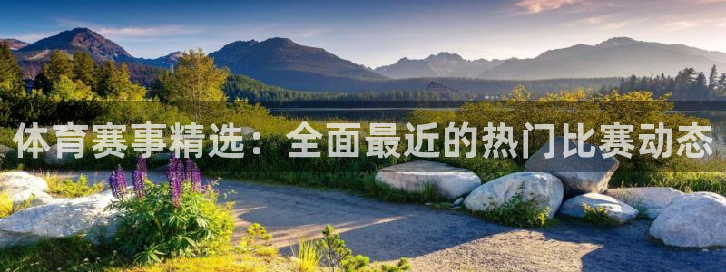 体育赛事精选：全面最近的热门比赛动态