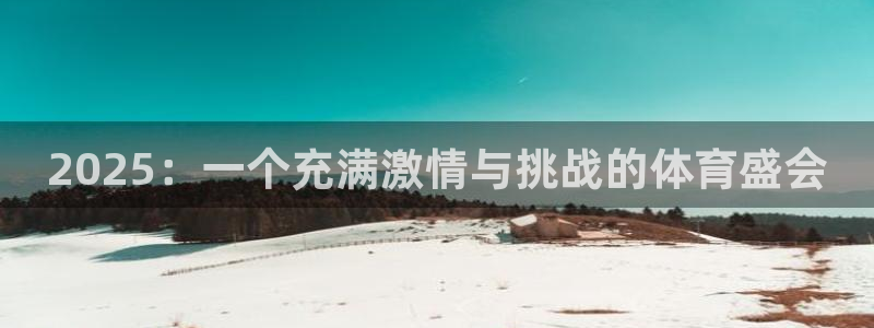 2025：一个充满激情与挑战的体育盛会