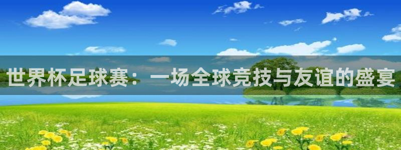 世界杯足球赛：一场全球竞技与友谊的盛宴